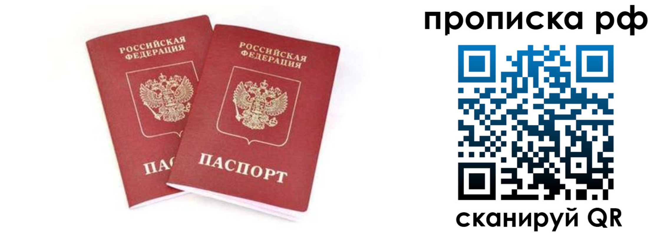 прописка поиск в Мончегорске